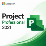 Microsoft Project 2021 Professional