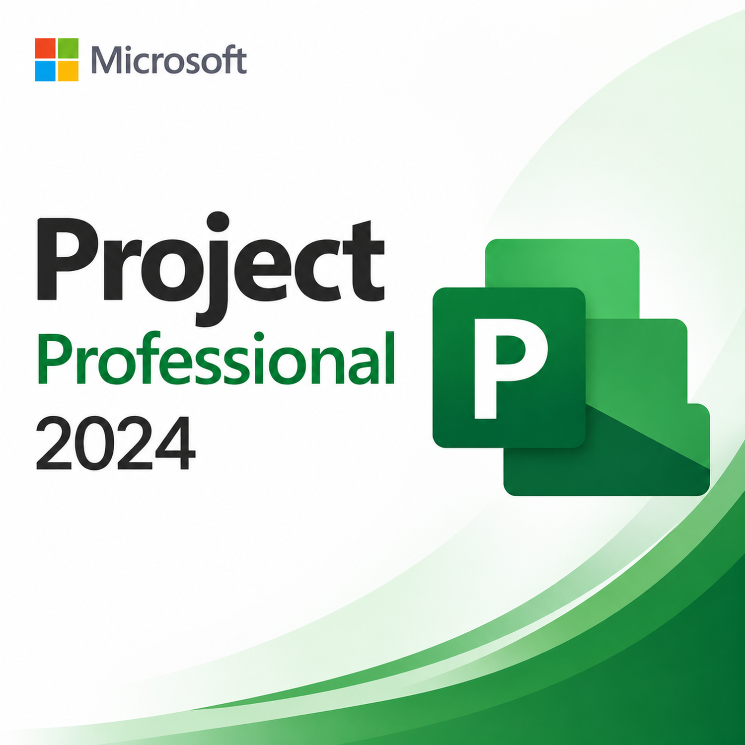 project2024 Microsoft Project 2024 Professional - Image 1