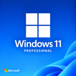 Microsoft Windows 11 Professional
