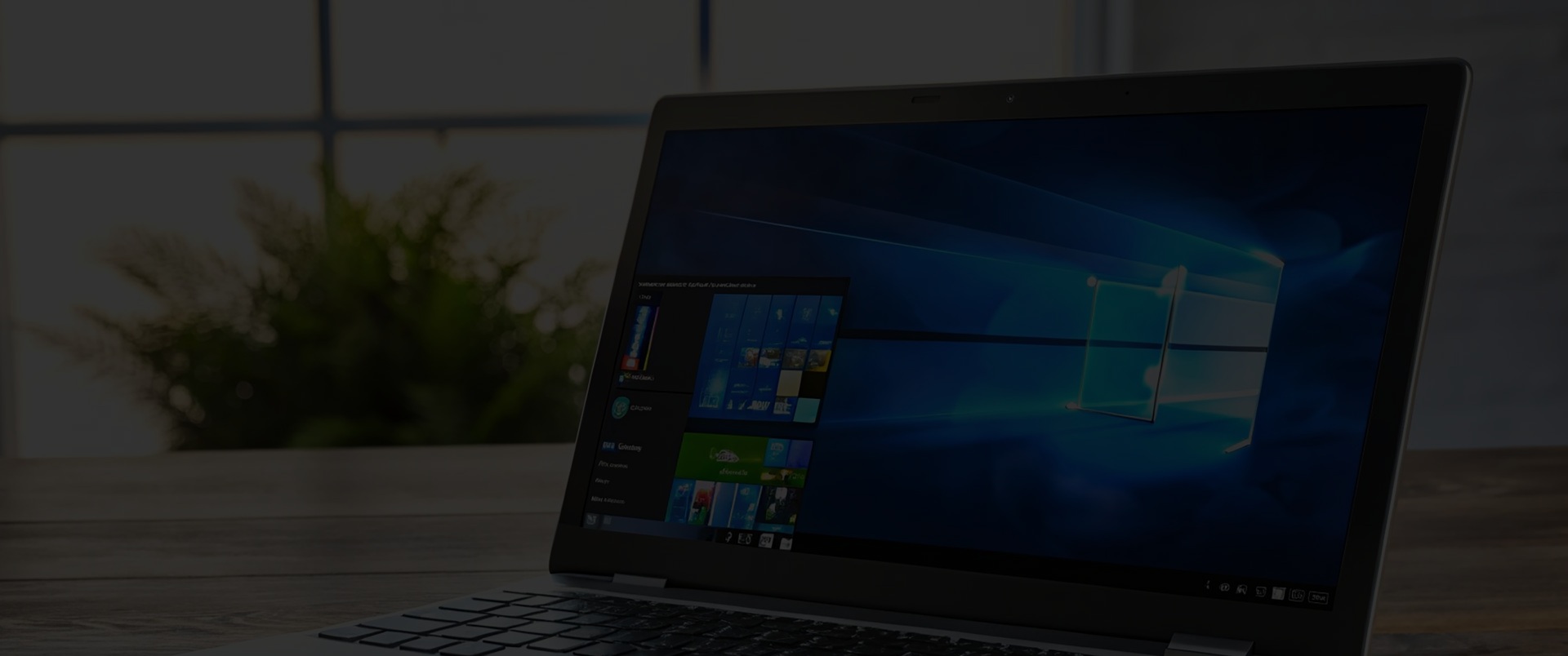 window 11
